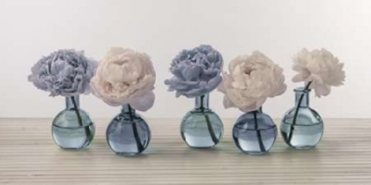 Peonies in glass bottles Poster Print by Assaf Frank - Item # VARPDXFTBR1781